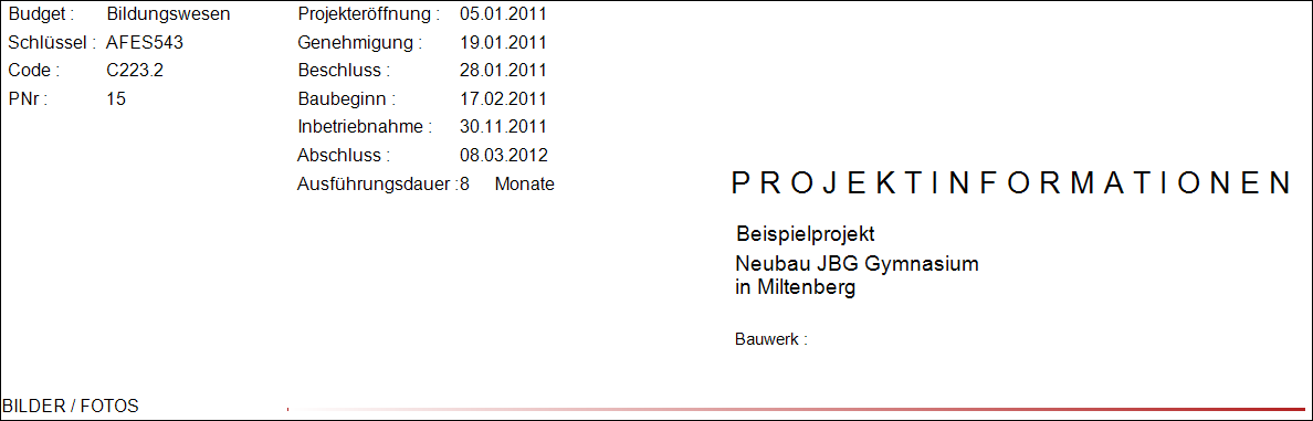 p_dvs_projektinfo